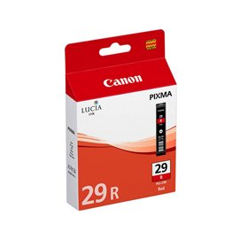 CANINKPGI29R.jpg