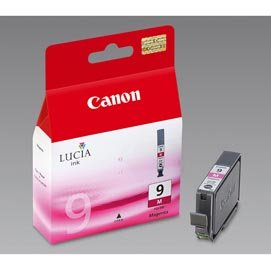CANINKPGI9M.jpg