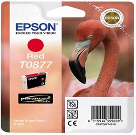 EPST08774010.jpg