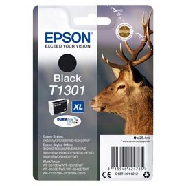 EPST13014012.jpg