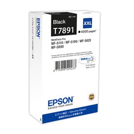 EPST789140.jpg
