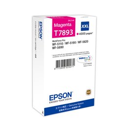 EPST789340.jpg